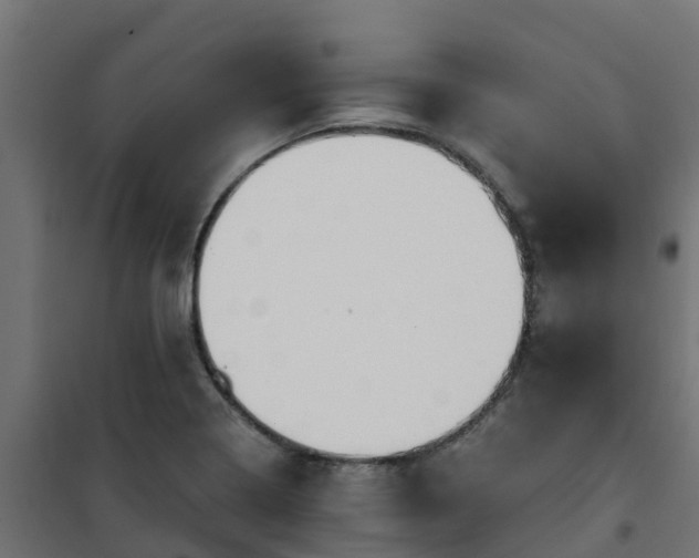 X0000101211322200807071329