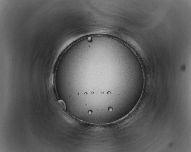 X0000101211324200807071329