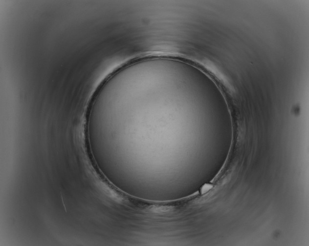 X0000101211325200807071329