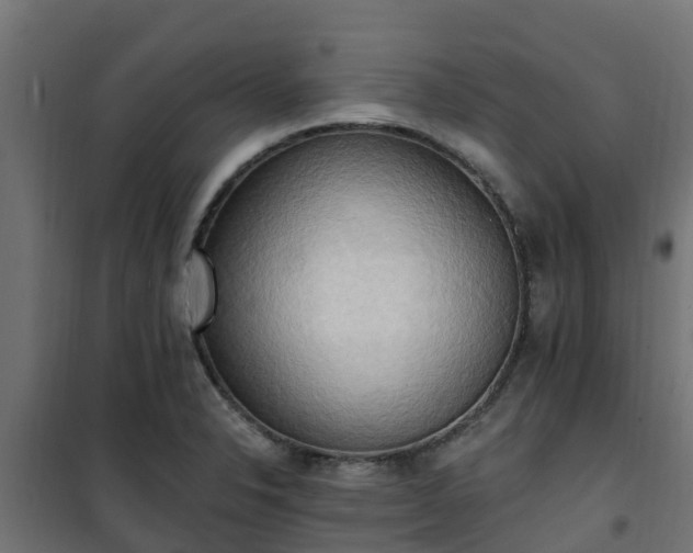 X0000101211326200807071329