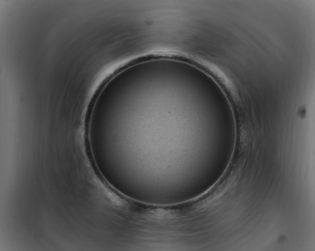 X0000101211327200807071329