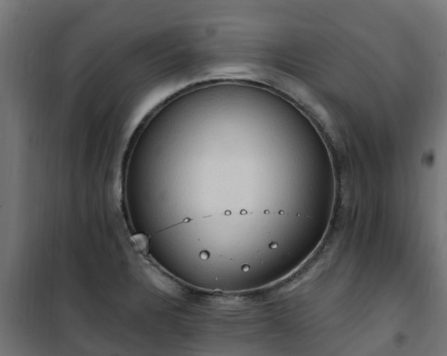 X0000101211328200807071329