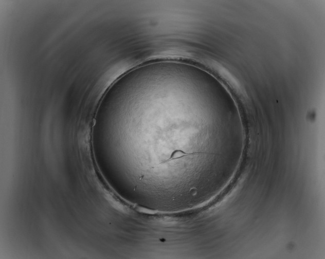 X0000101211329200807071329