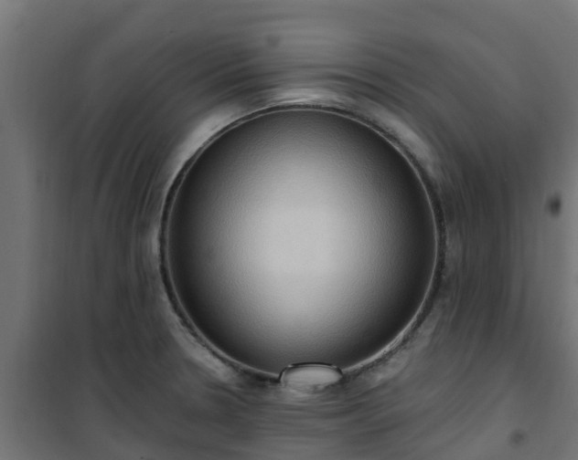 X0000101211330200807071329