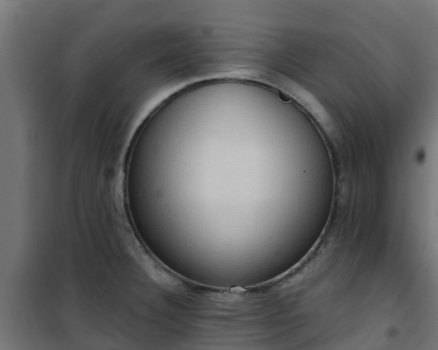 X0000101211332200807071329