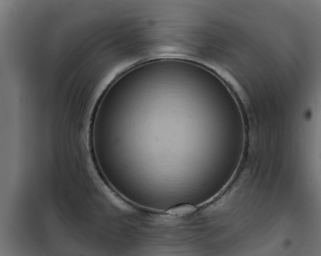 X0000101211333200807071329