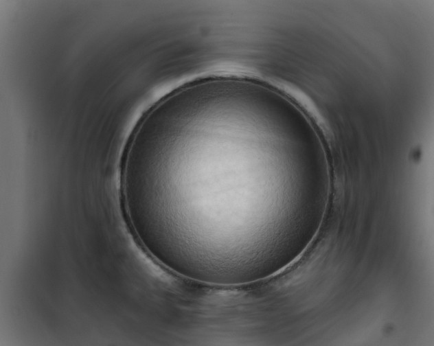 X0000101211335200807071329