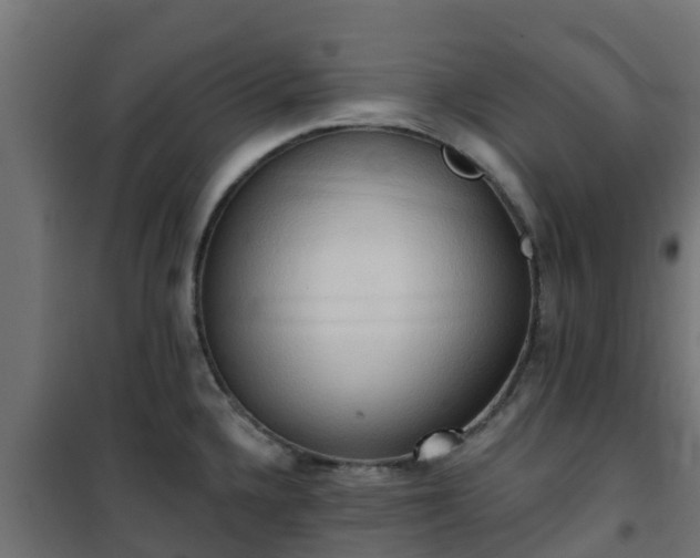 X0000101211336200807071329