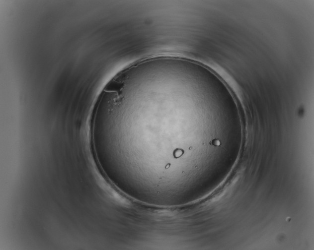 X0000101211341200807071329