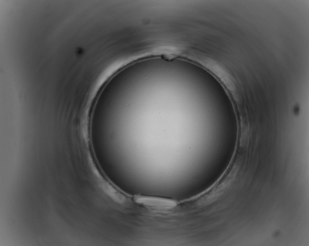 X0000101211342200807071329