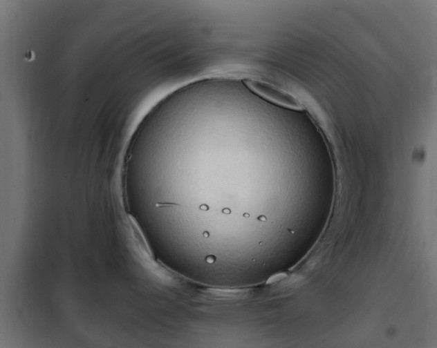 X0000101211344200807071329