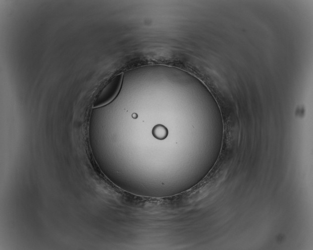 X0000101211345200807071329