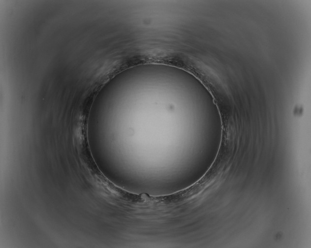 X0000101211346200807071329