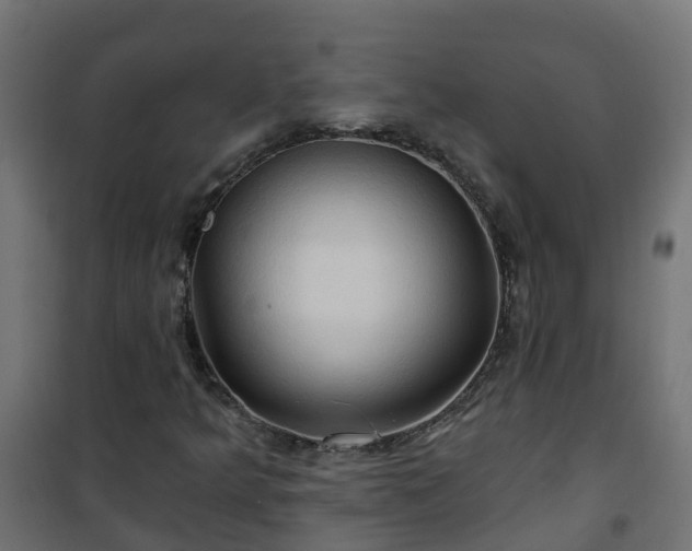 X0000101211349200807071329