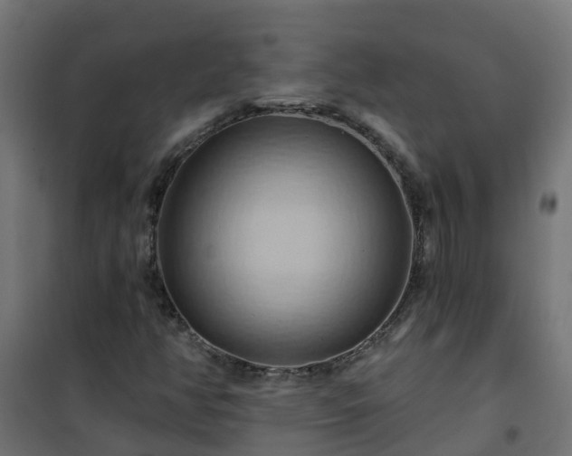 X0000101211350200807071329