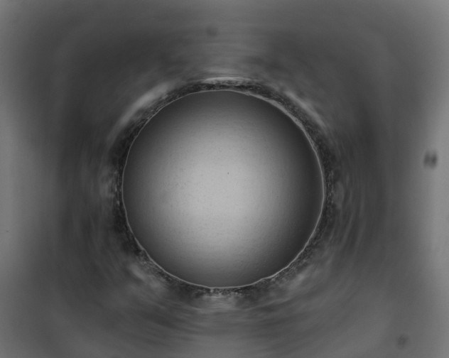 X0000101211351200807071329