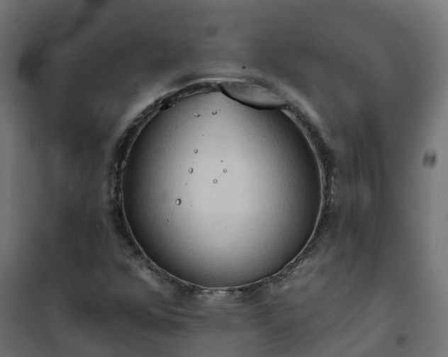 X0000101211352200807071329