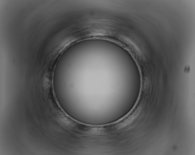 X0000101211353200807071329