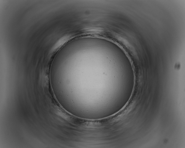 X0000101211354200807071329