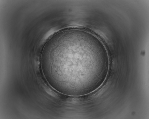 X0000101211355200807071329