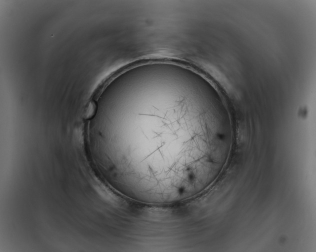 X0000101211356200807071328