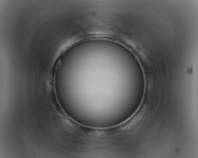 X0000101211357200807071328