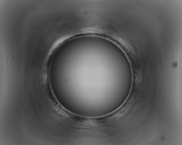 X0000101211358200807071328