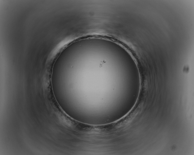 X0000101211359200807071328