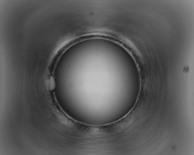 X0000101211360200807071328