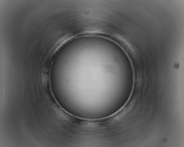 X0000101211361200807071328