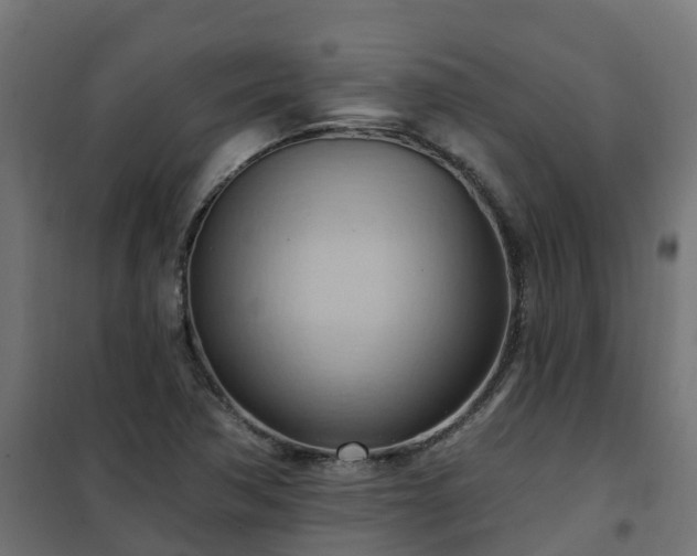 X0000101211362200807071328