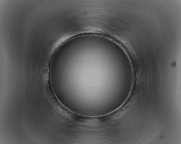 X0000101211363200807071328