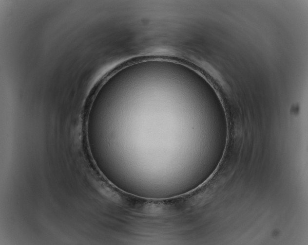 X0000101211364200807071328