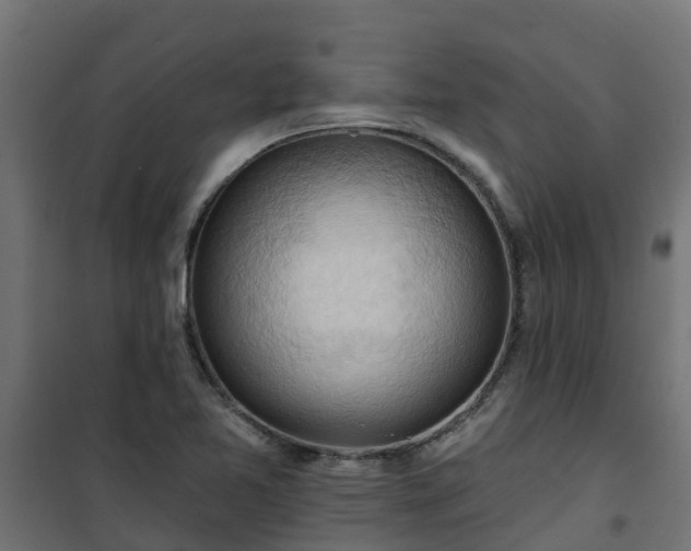 X0000101211365200807071328