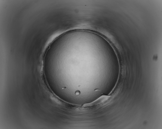 X0000101211366200807071328