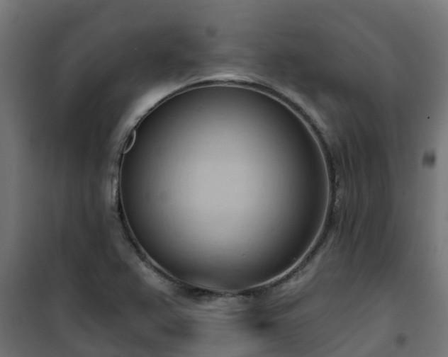 X0000101211367200807071328