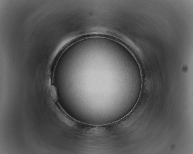 X0000101211368200807071328