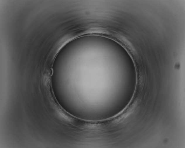 X0000101211369200807071328