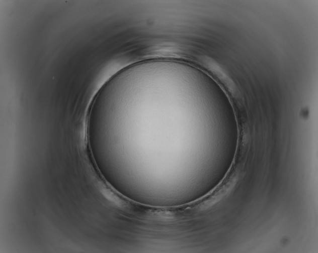 X0000101211370200807071328