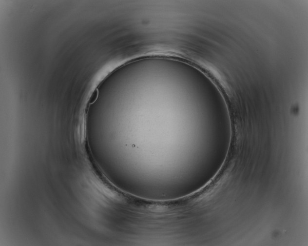 X0000101211371200807071328