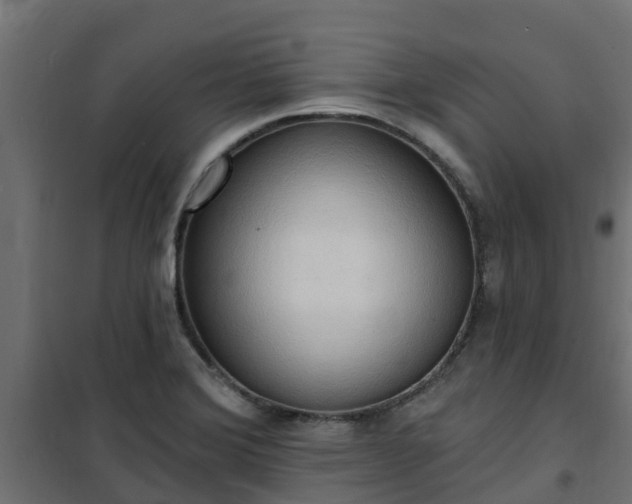 X0000101211372200807071328