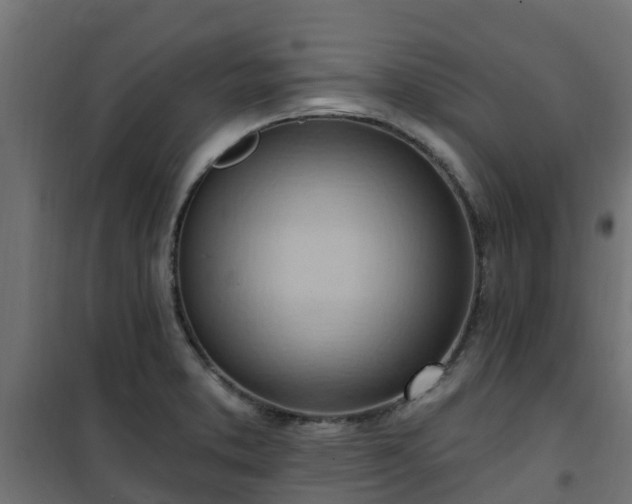 X0000101211373200807071328