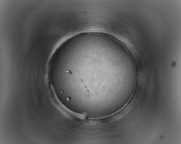 X0000101211374200807071328