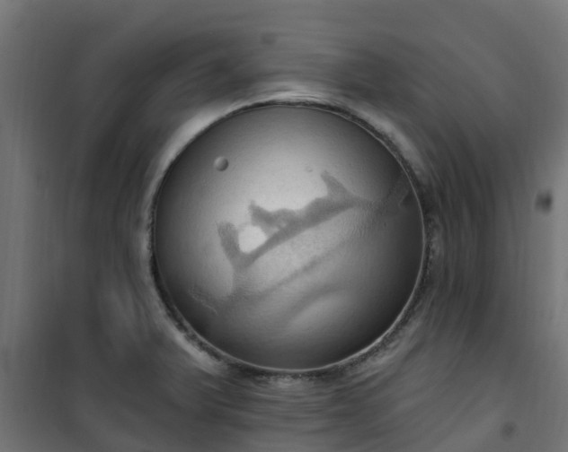 X0000101211375200807071328