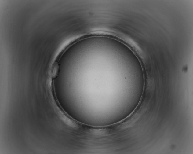 X0000101211376200807071328