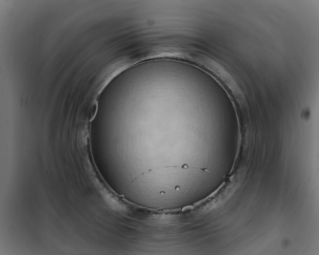 X0000101211377200807071328