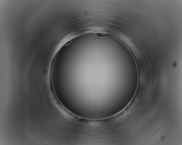 X0000101211378200807071328