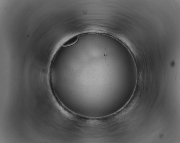 X0000101211379200807071328