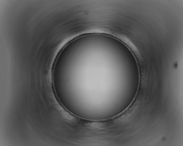 X0000101211380200807071328