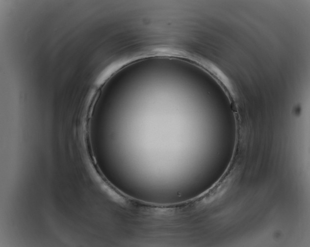 X0000101211381200807071328